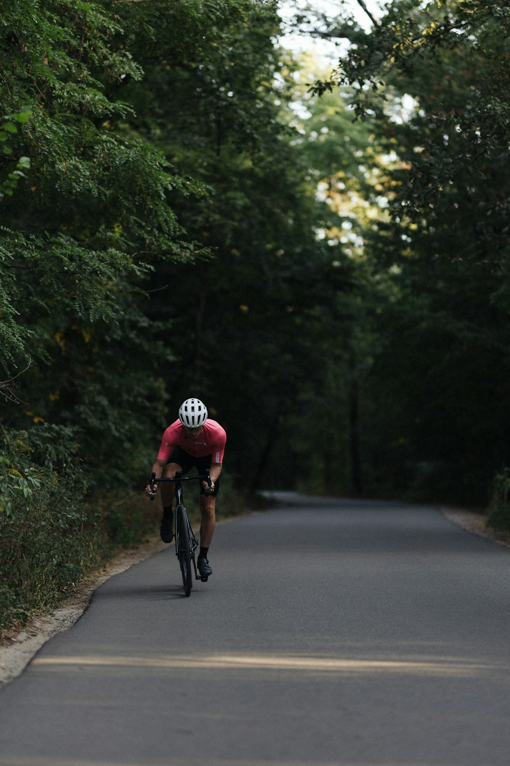 a man riding a bike down a tree lined road