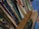 A collection of books and folders stacked vertically in a shelf or storage area. The book titles are visible, indicating subjects such as mathematics, genetics, biotechnology, and English, aimed at senior secondary and undergraduate levels. A blue container and a brown envelope are also present alongside the books.