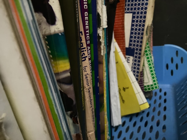 A collection of textbooks and notebooks in various colors with visible spines. Some of the books include subjects like English and sciences. The materials are organized upright in a blue plastic basket.