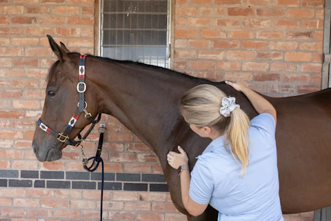 A veterinary student carefully examining a horse's teeth during a practical lesson.