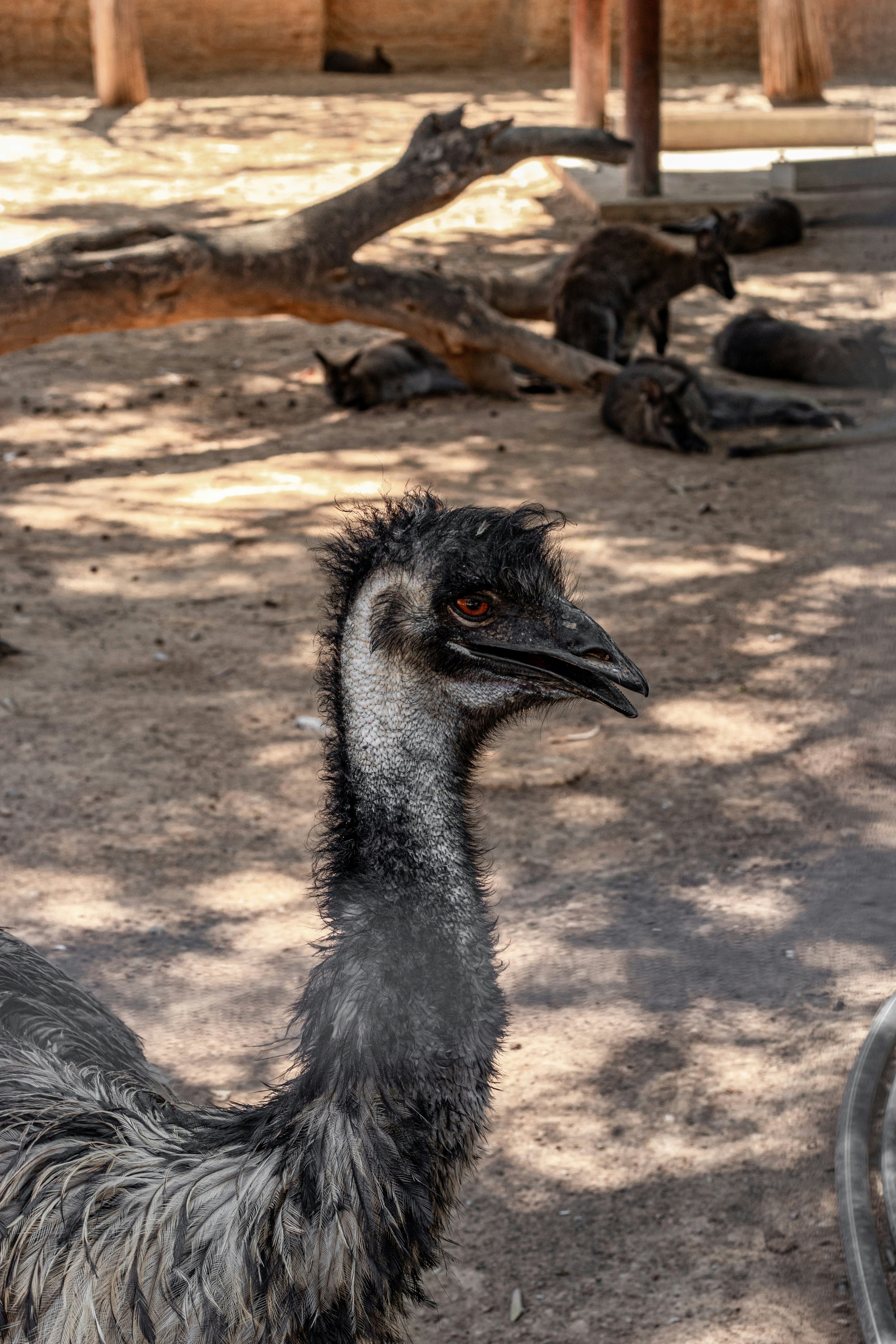 Photo by viktoriia_kondratiuk