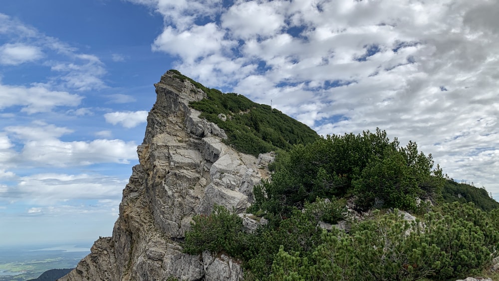 a rocky mountain with a few trees on top of it