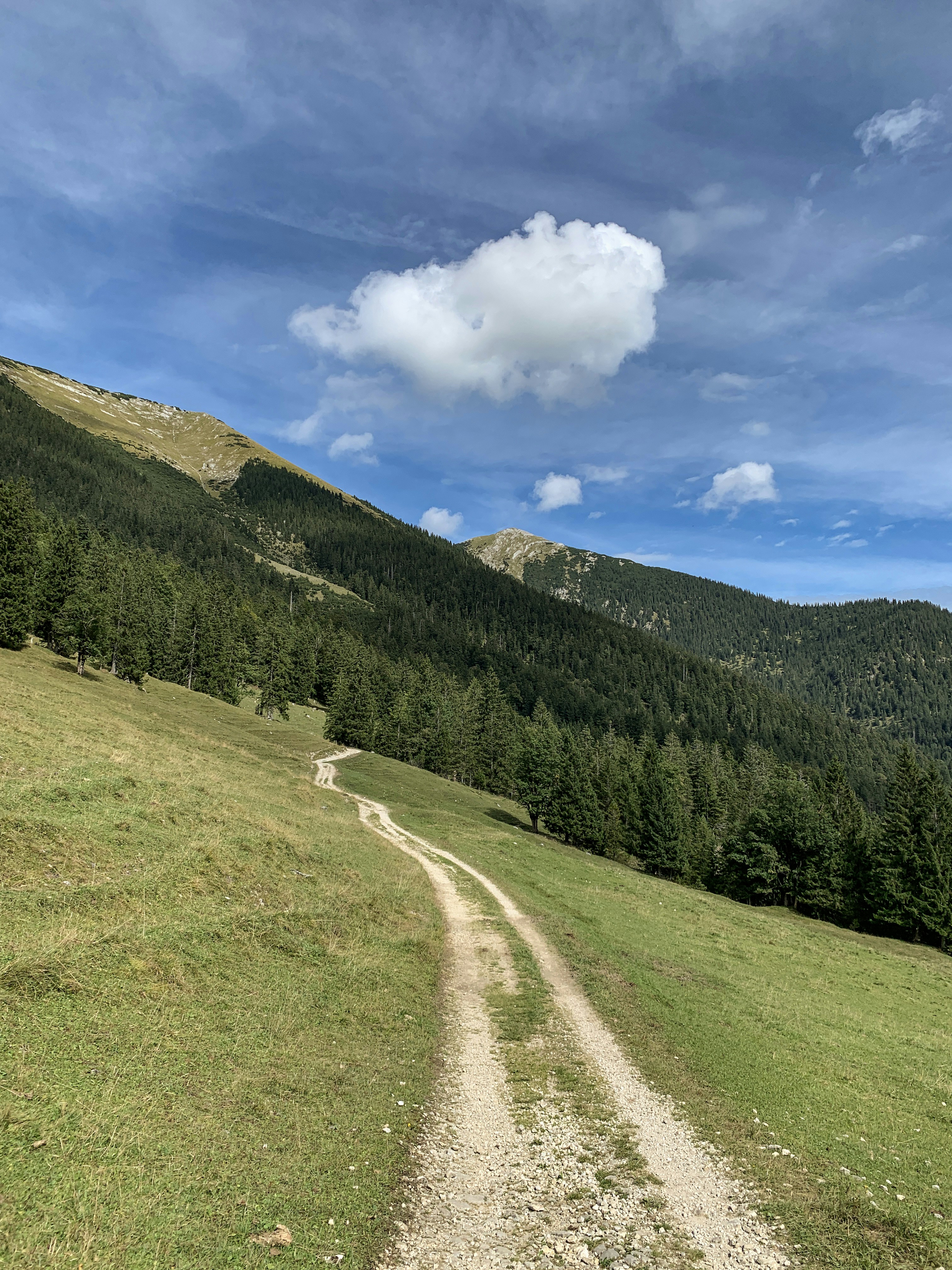 Photo by shutter_speed_