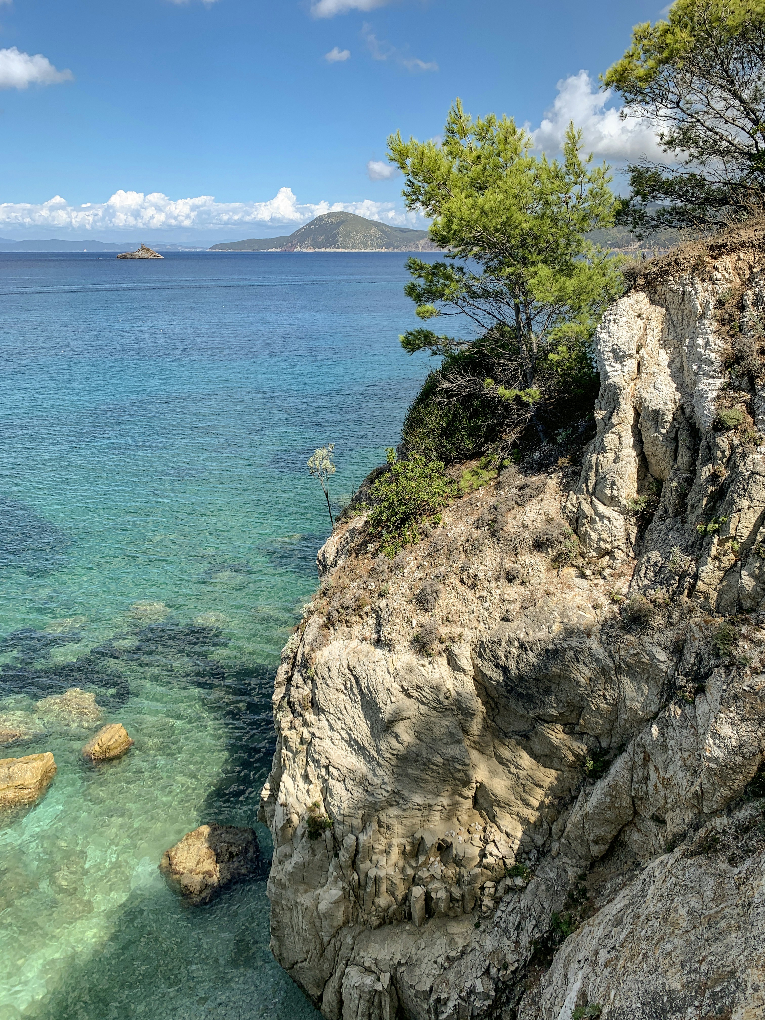 Photo by shutter_speed_