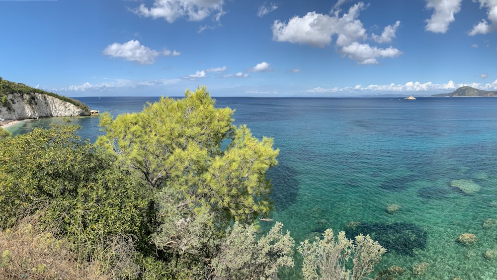 a scenic view of the ocean from a hill