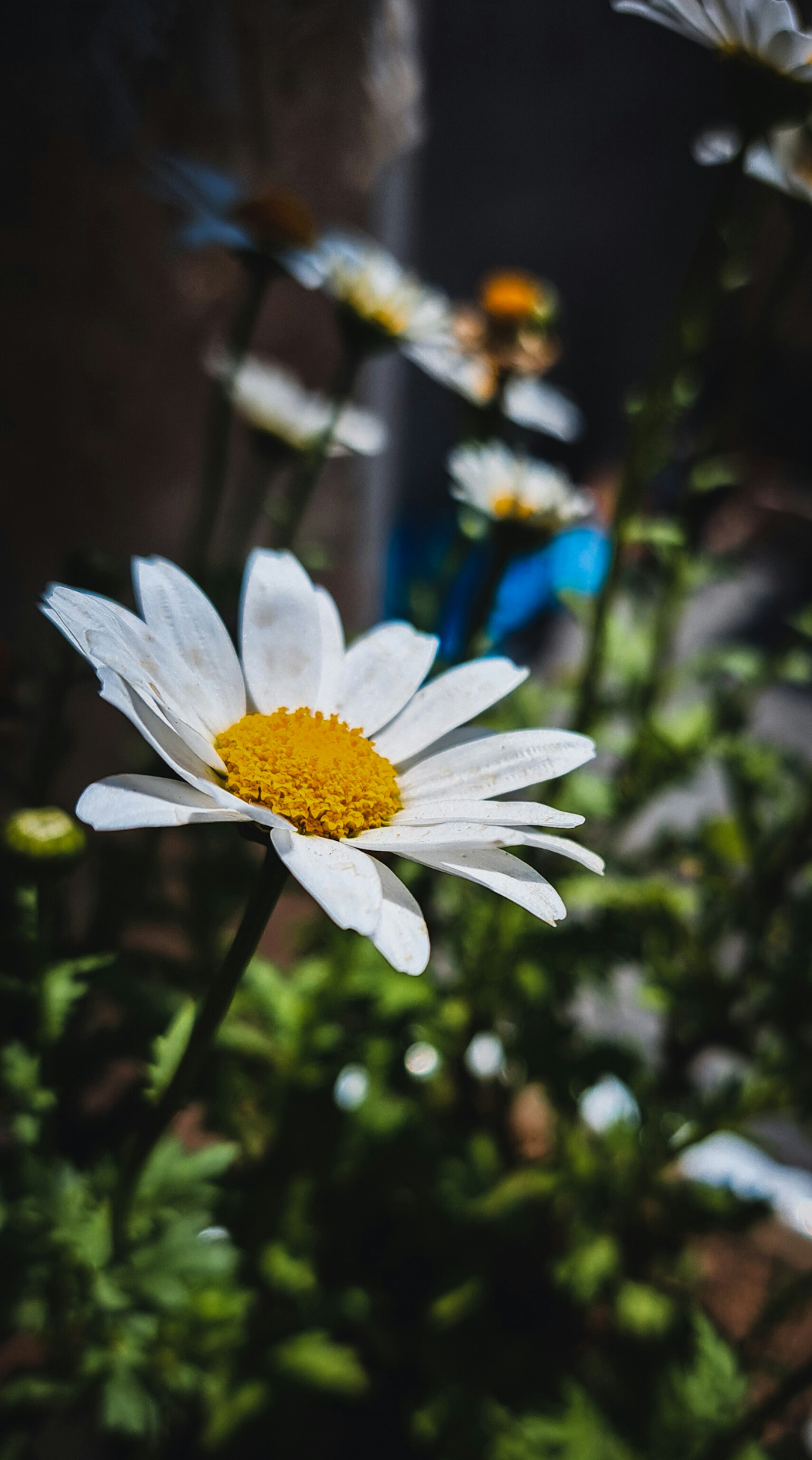 Photo by photo_setayesh