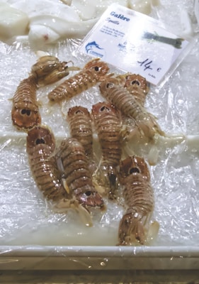 A selection of raw seafood, possibly mantis shrimp, displayed on ice. The shrimp are brown with segmented bodies and visible appendages. A price tag is placed on top, showing the price in euros.