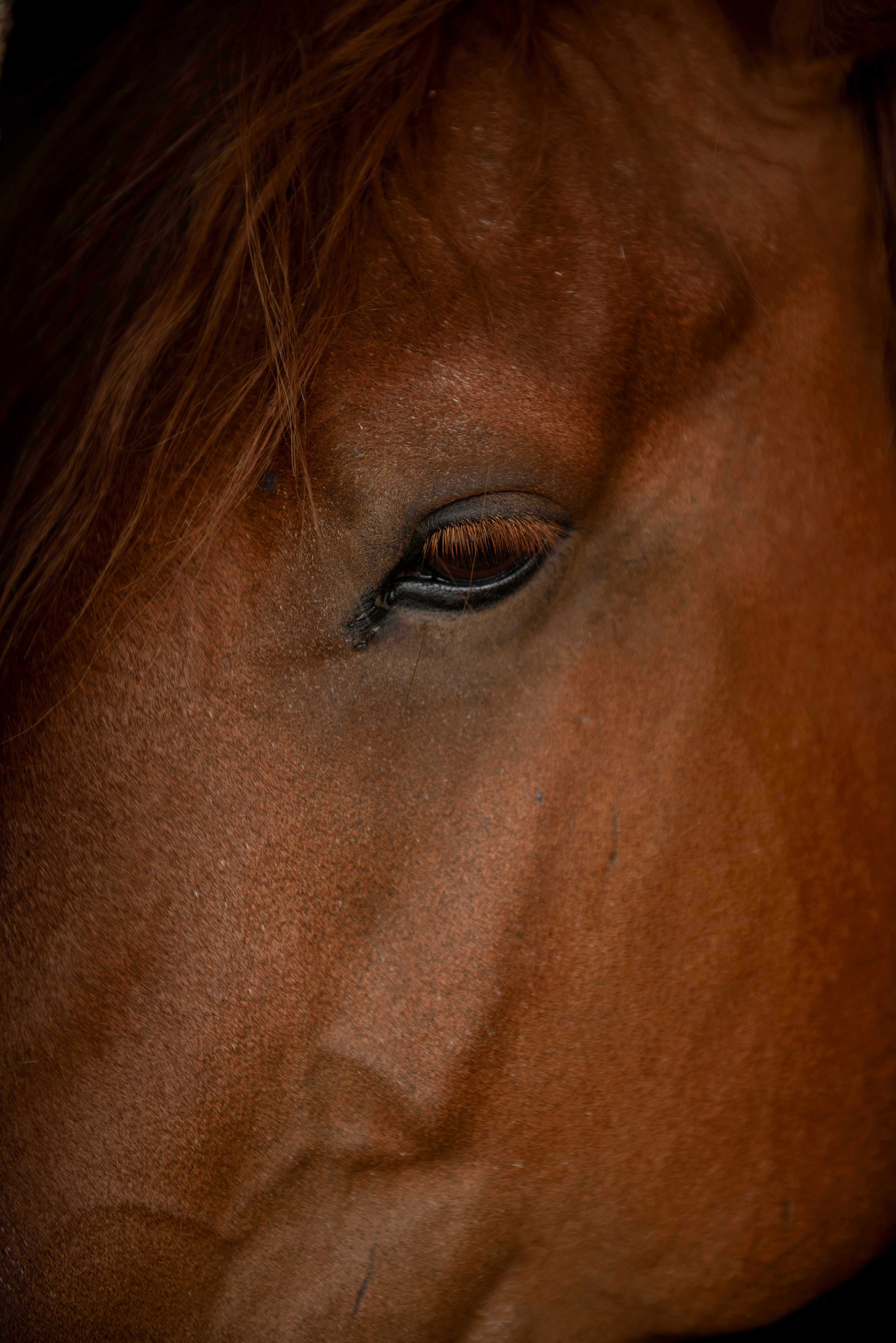 Photo by vaivagallery2022