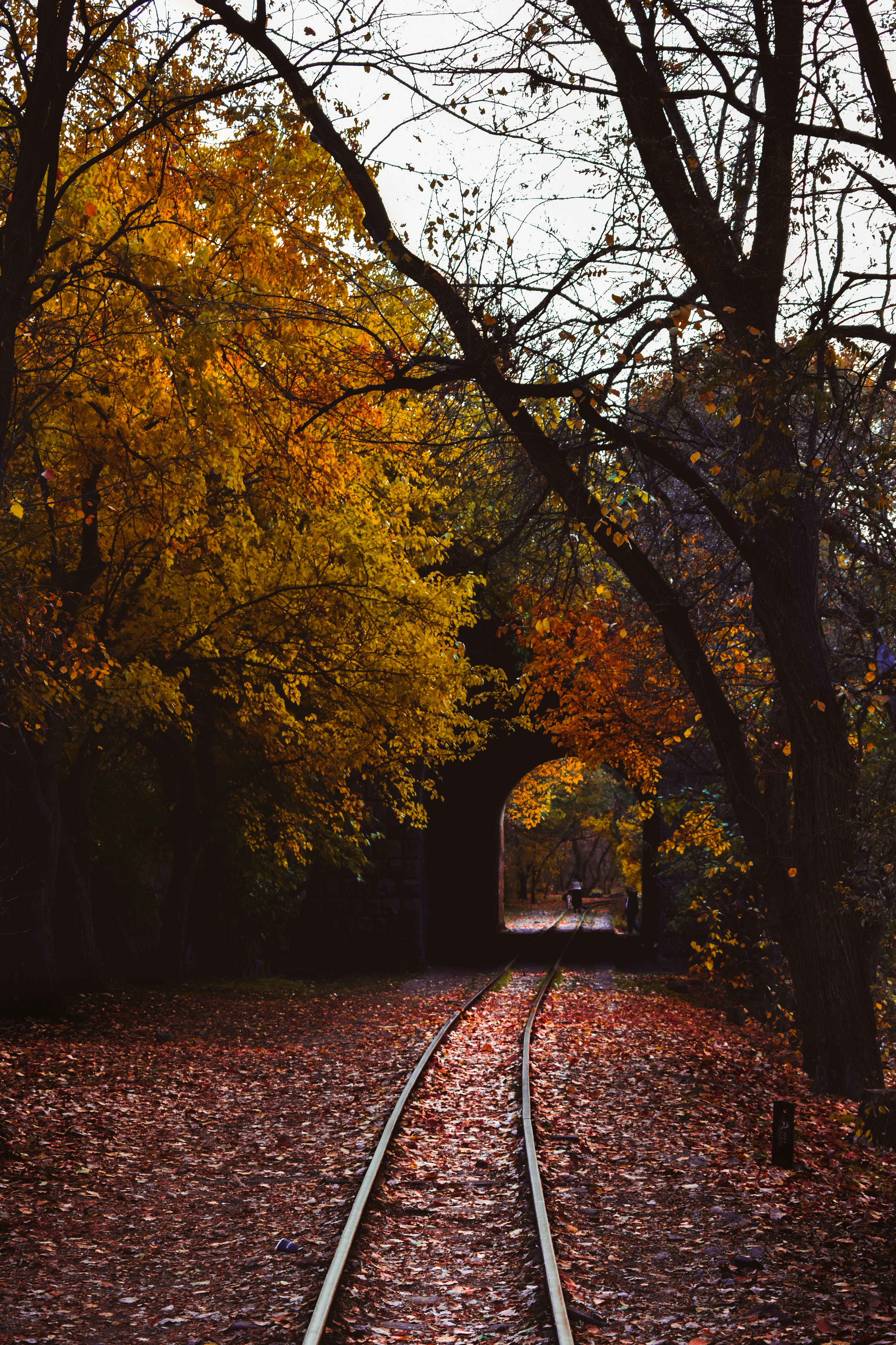 Photo by ya_vladimirgal