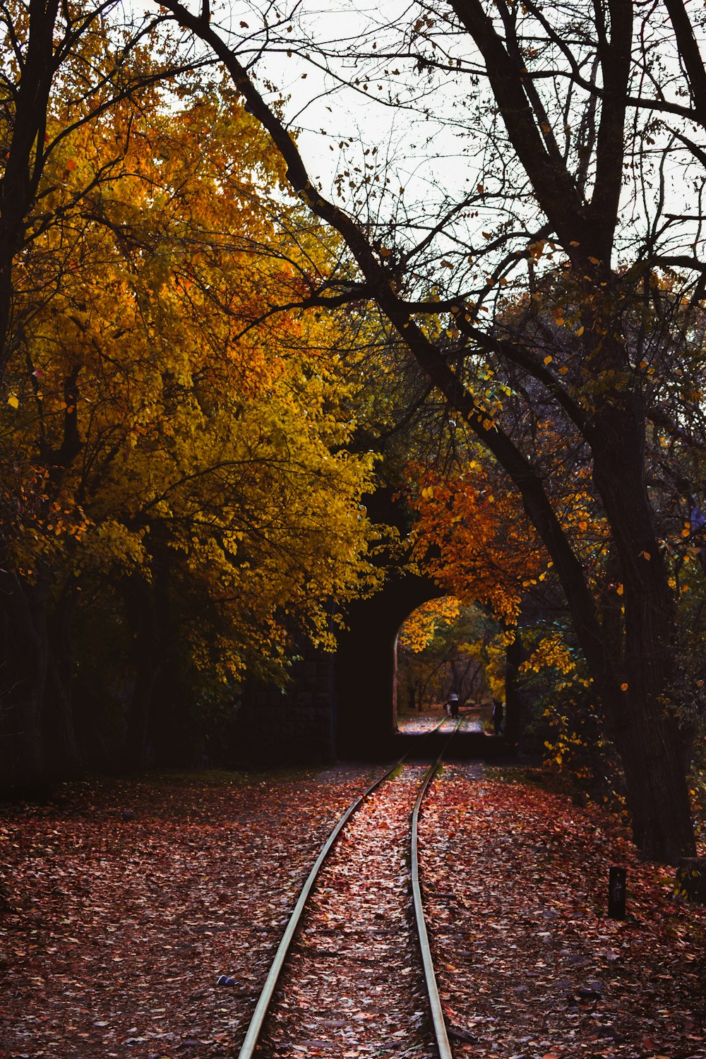 a train track surrounded by trees and leaves