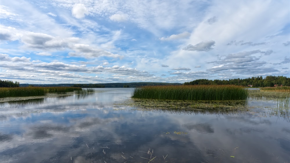 a body of water surrounded by grass and clouds