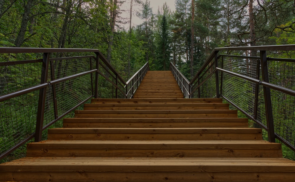 a set of stairs leading to a forest