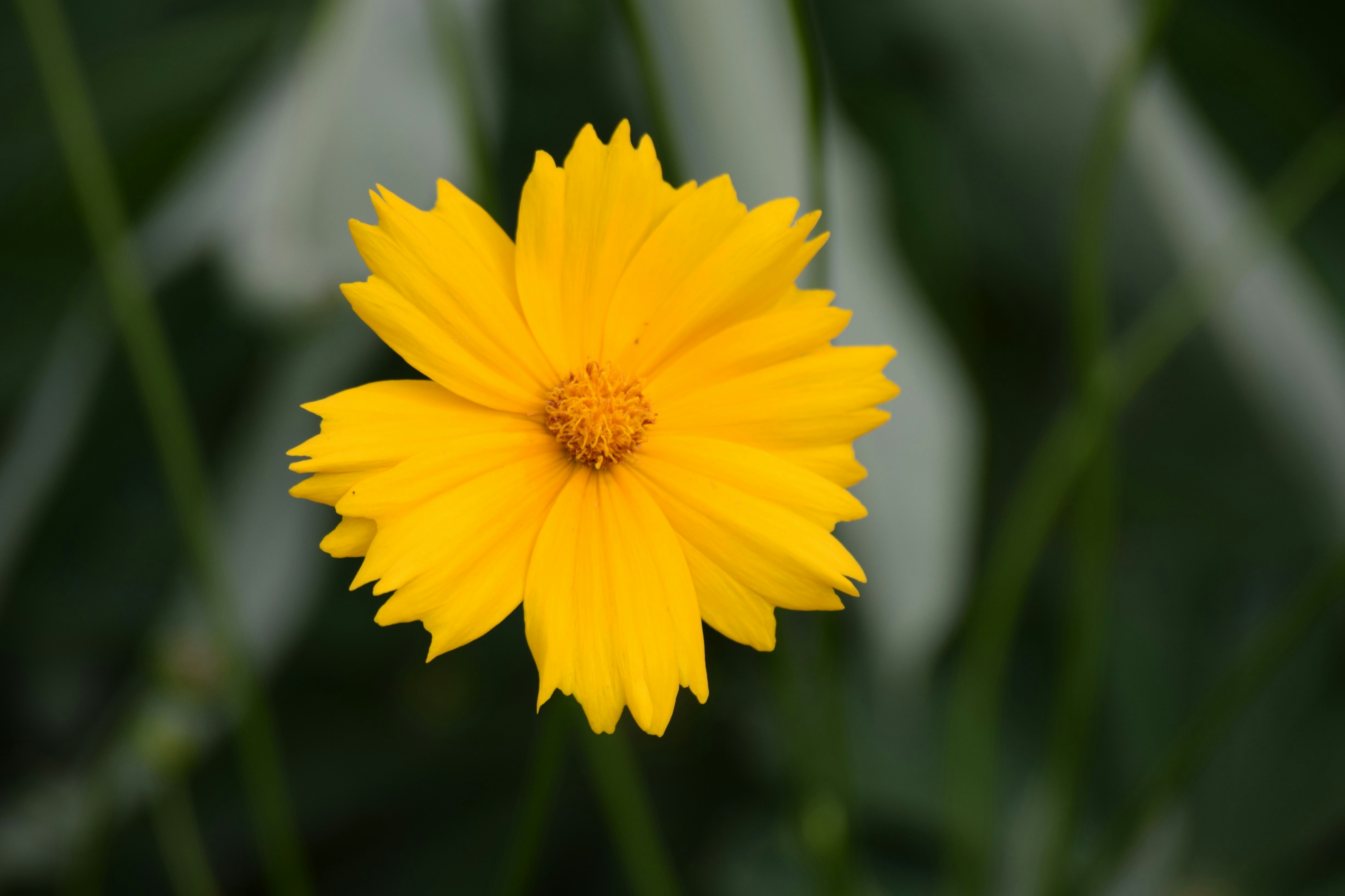 Photo by praswinprakashan