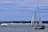 A sailing ship with tall white sails navigates through calm waters. Several people are visible on board, and an American flag is flying from the mast. In the background, a coastline with green trees and rocky formations is under a partly cloudy blue sky.