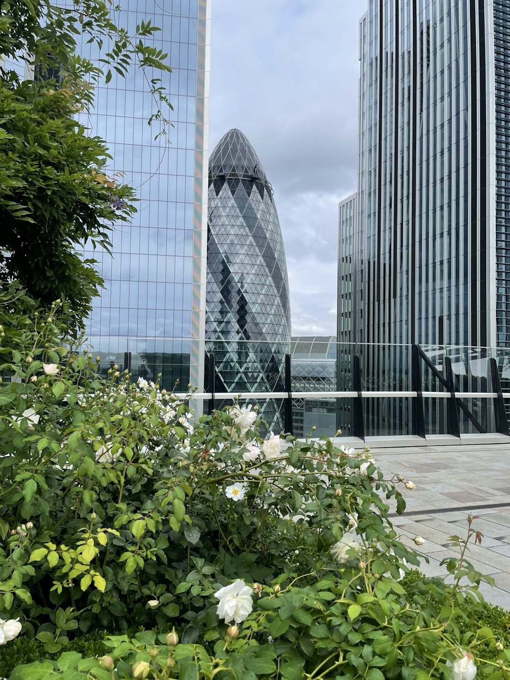 une vue d’un bâtiment avec beaucoup de fleurs au premier plan