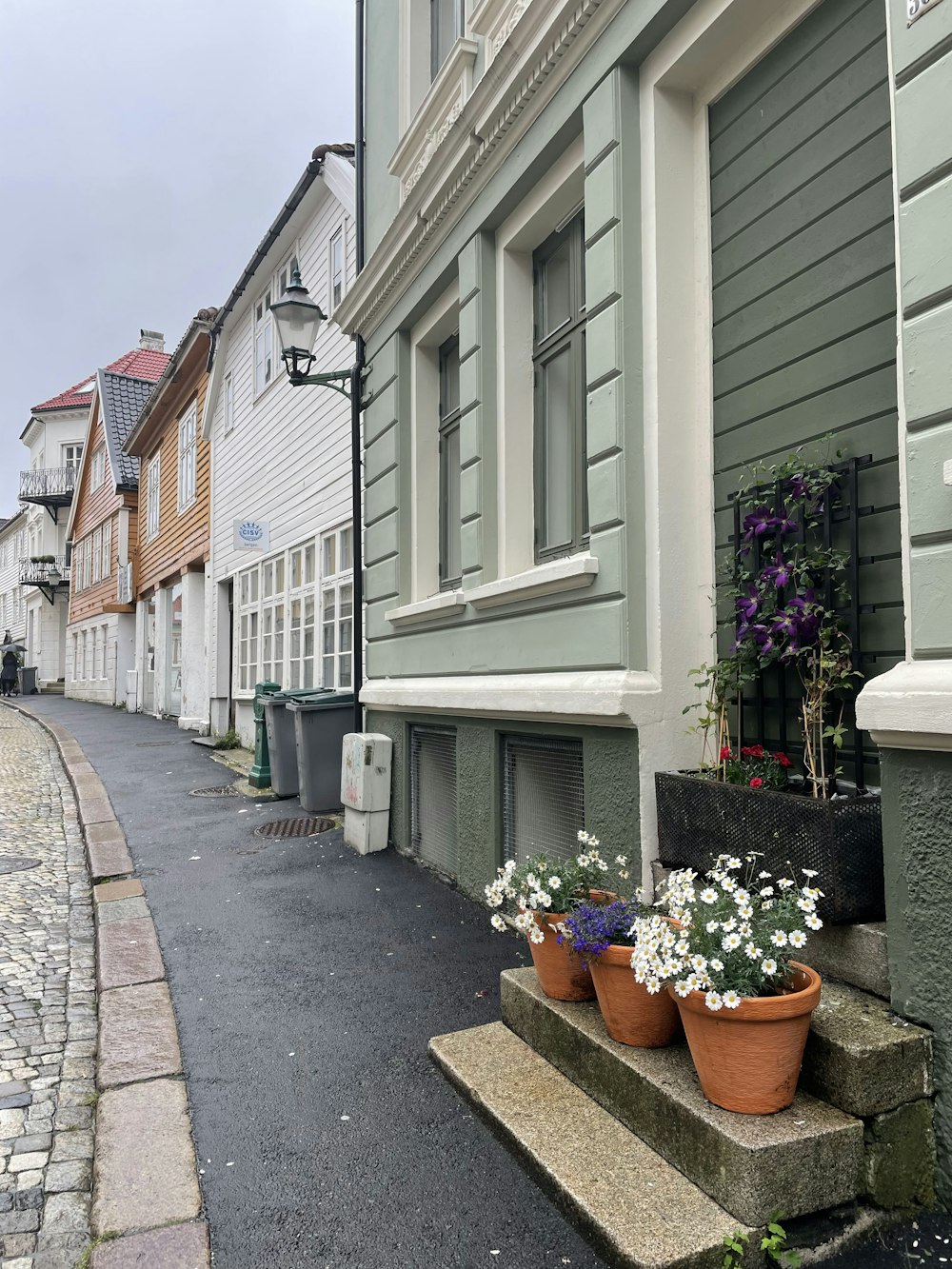 a row of houses with flower pots on the steps