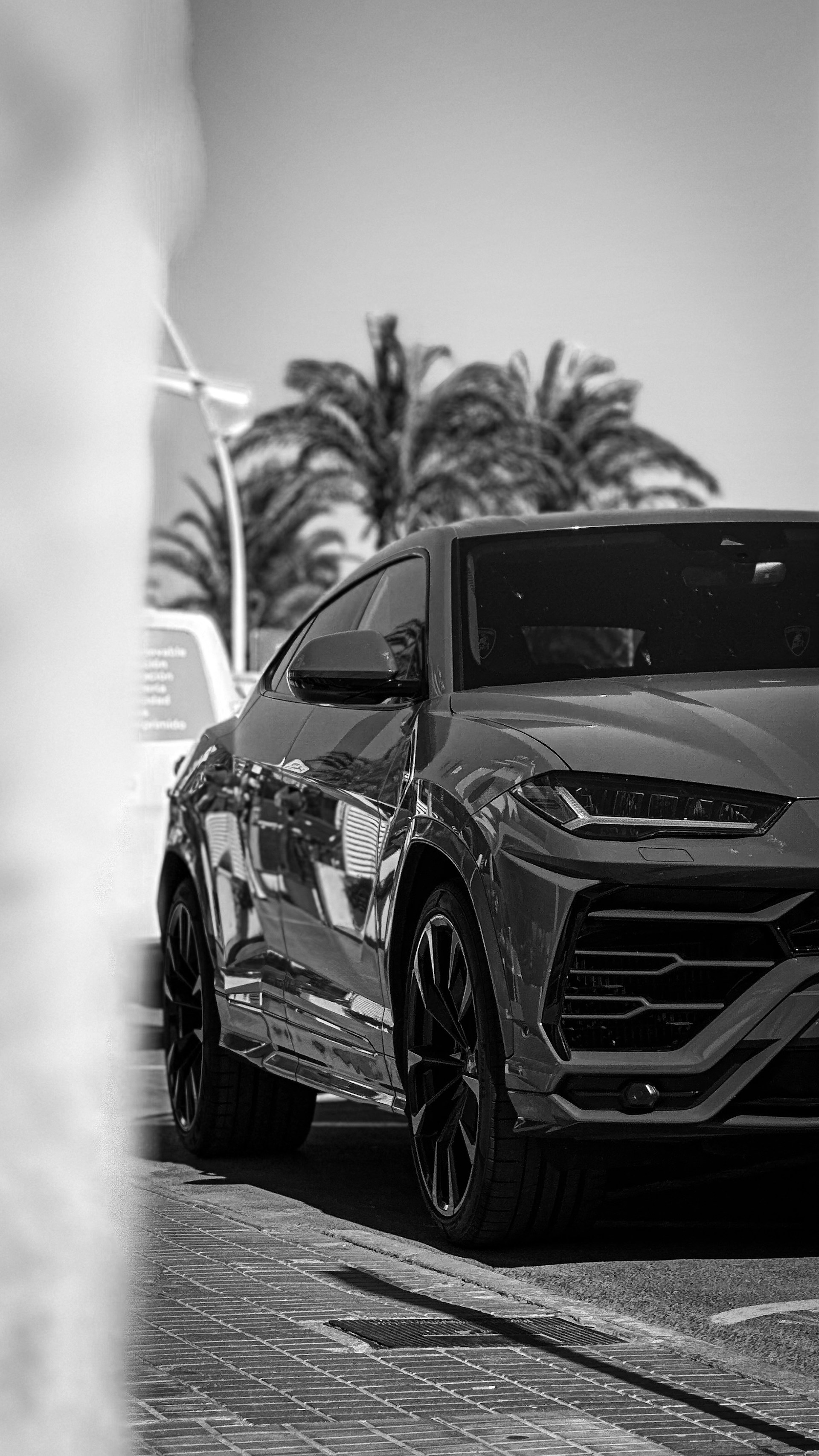 a black and white photo of a sports car
