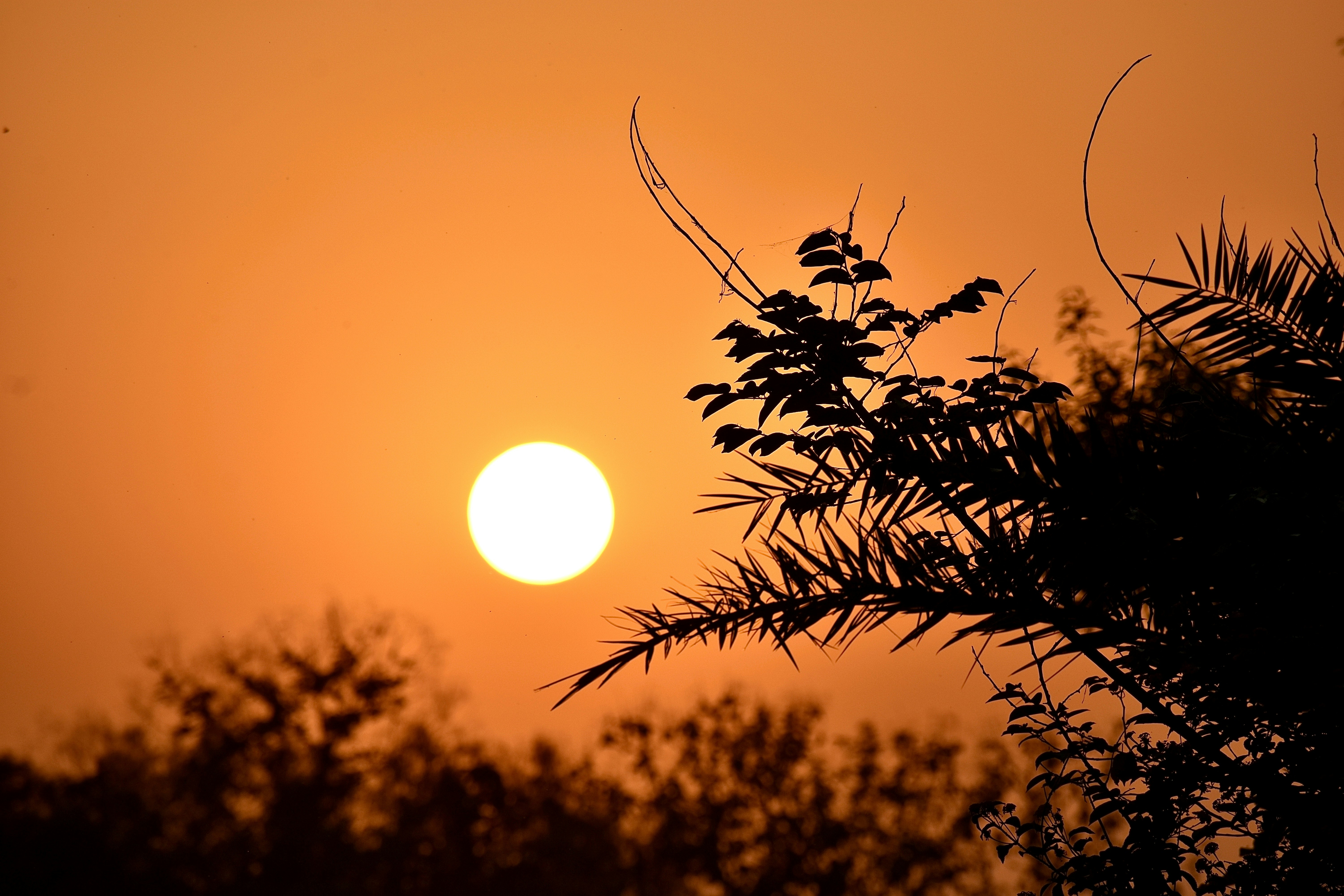 Photo by manu_manav_j