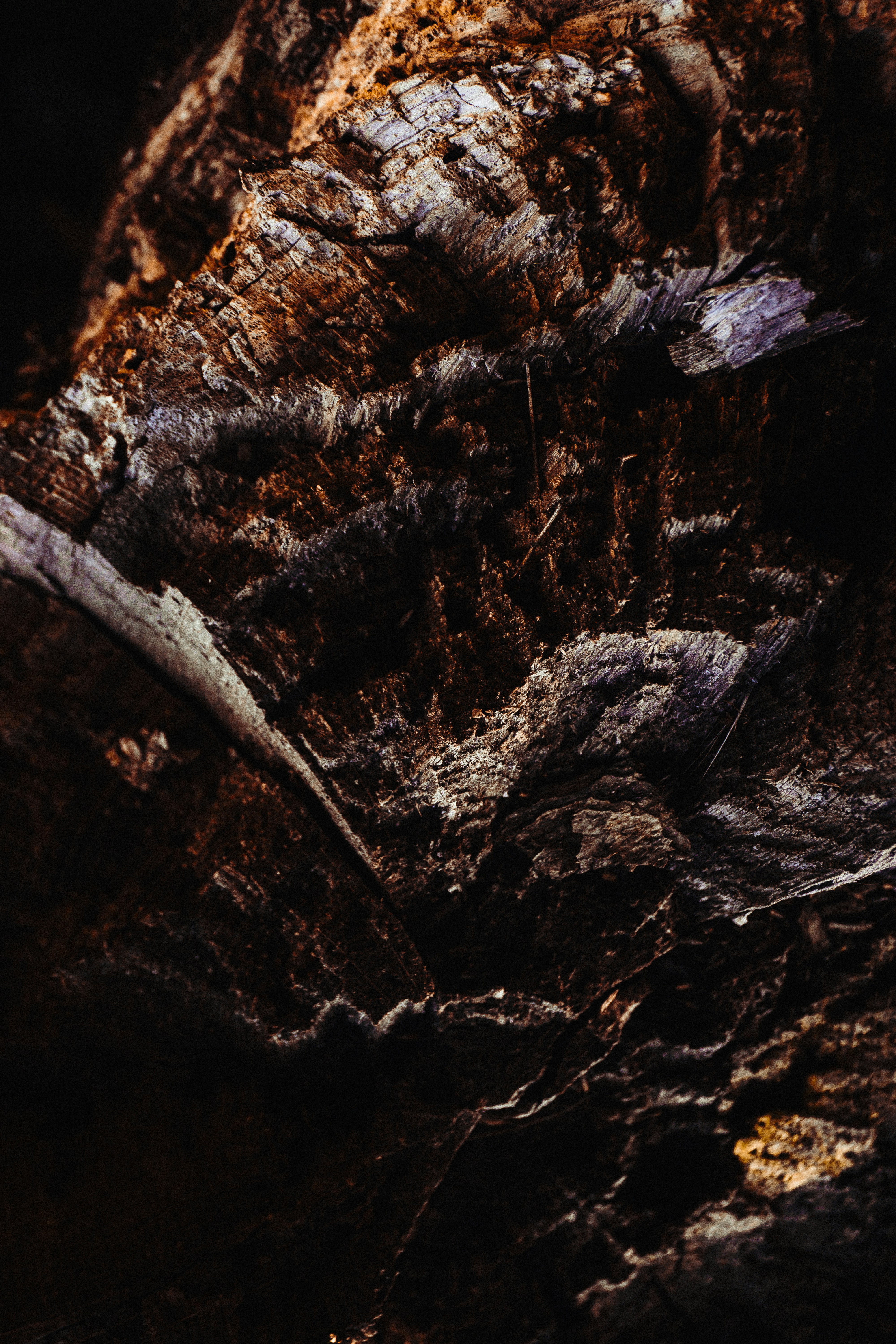 Photo by sindy_suessengut