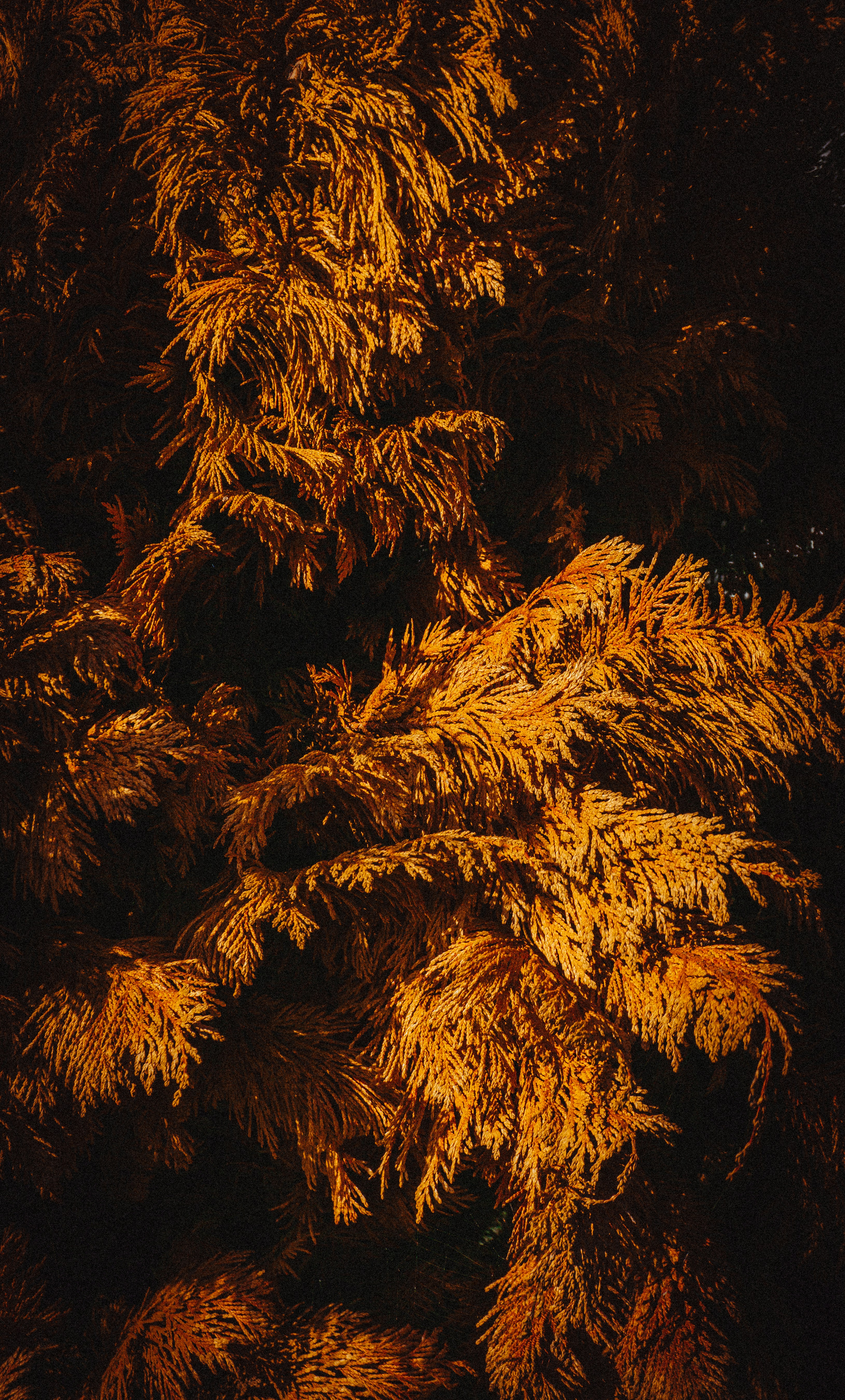 fall wallpaper textures, wallpaper, Thanksgiving Crafts for Adults: Creative Ideas 4