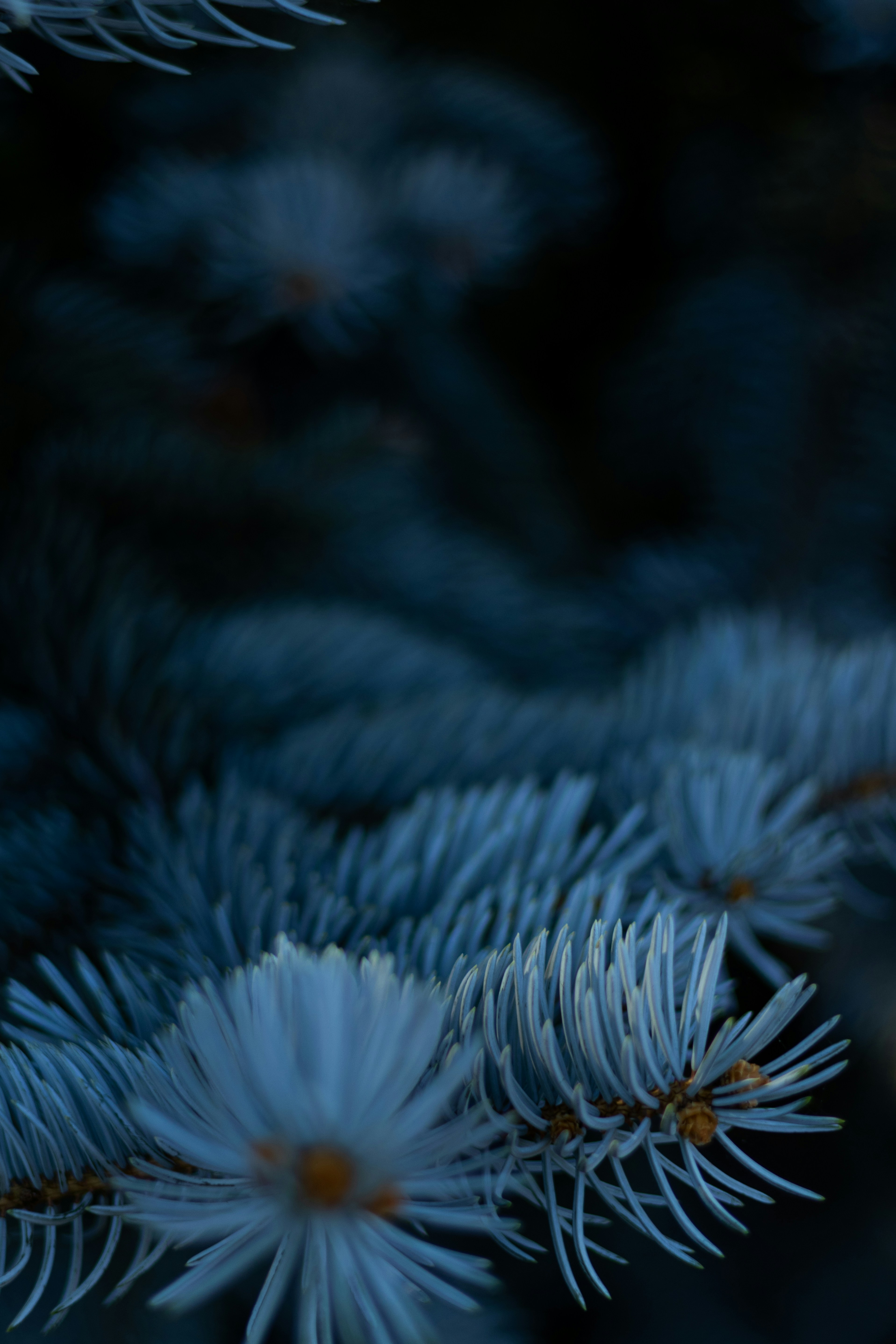 Photo by anyutakejbalo