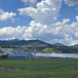 Aerial shot capturing the expansive production facility surrounded by greenery