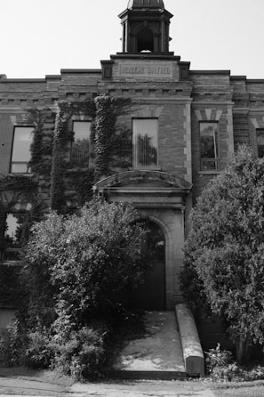 A historic brick building with a classical architectural style, featuring large rectangular windows partially obscured by overgrown vines. Above the entrance, a sign reads 'Academie Salfred'. The building is framed by lush greenery and a path leads to the main door.