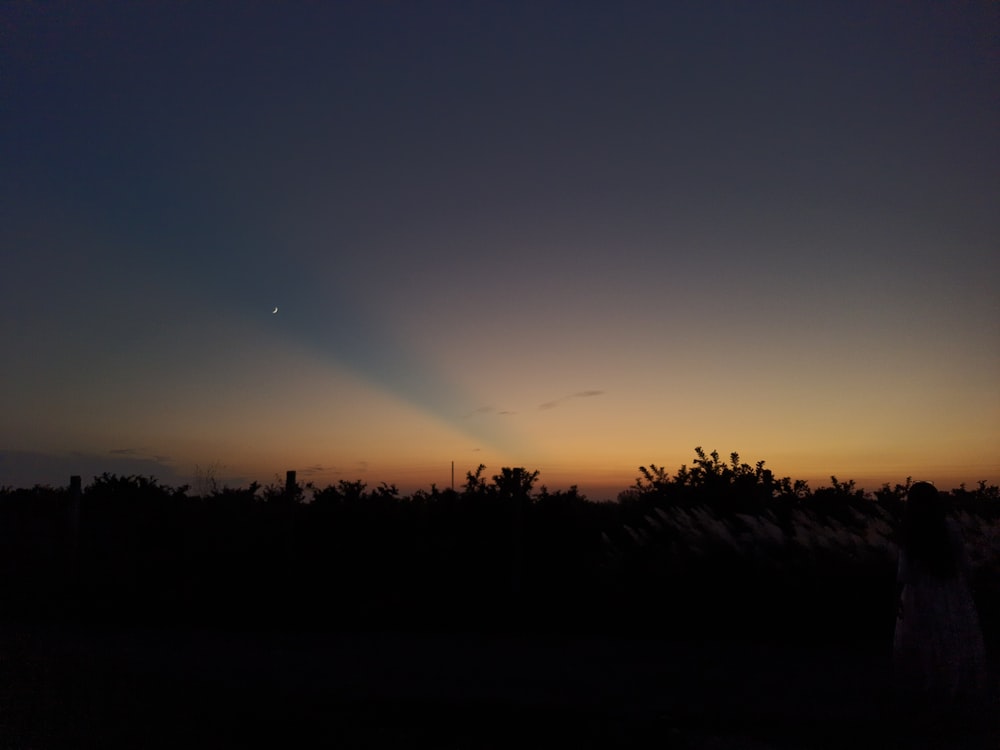 a person standing in a field at sunset