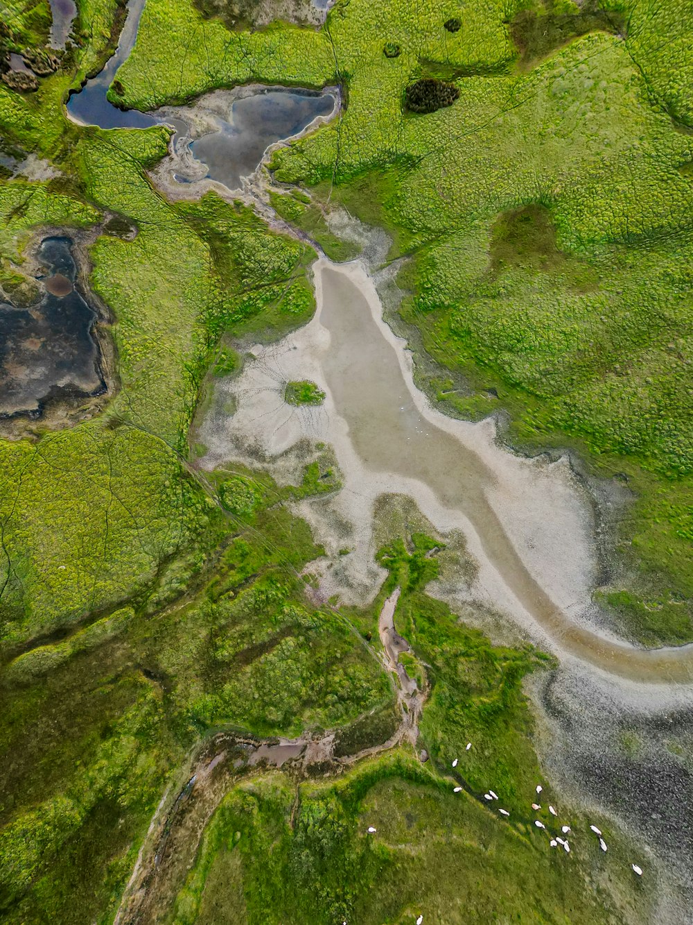 an aerial view of a river running through a lush green field