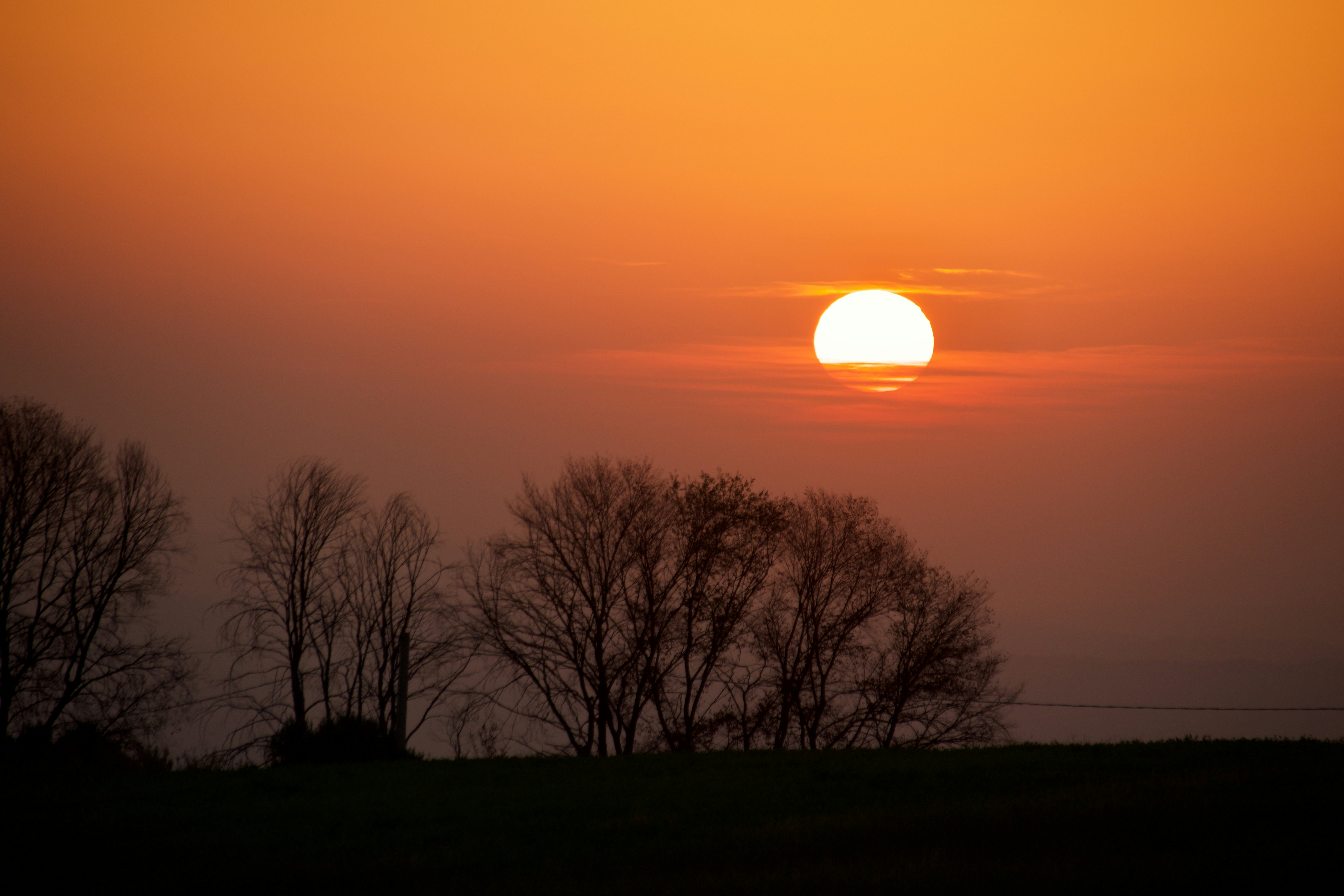 Photo by mariobeducci