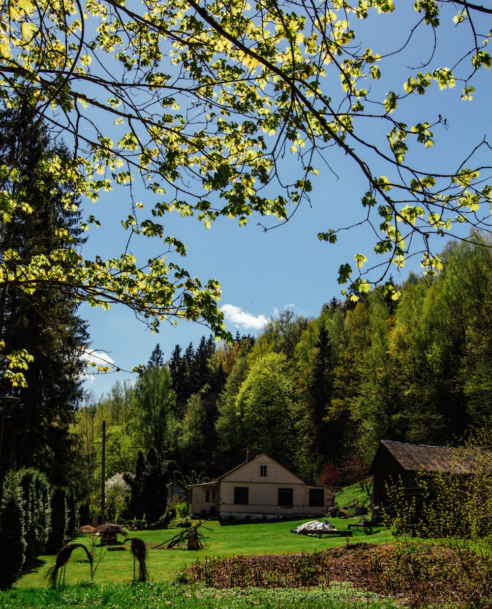 two horses grazing in a field near a house