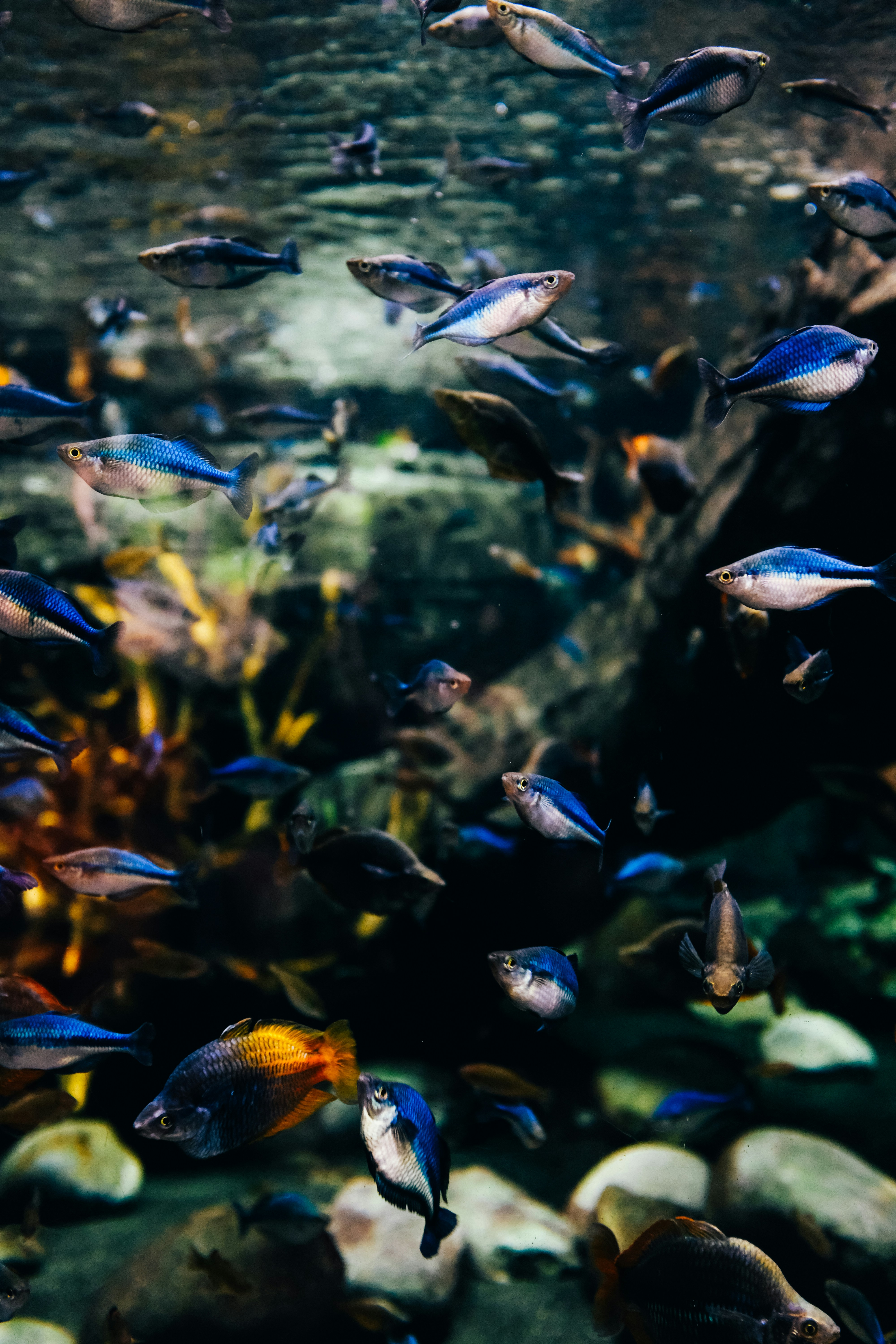 Photo by adrienolichon