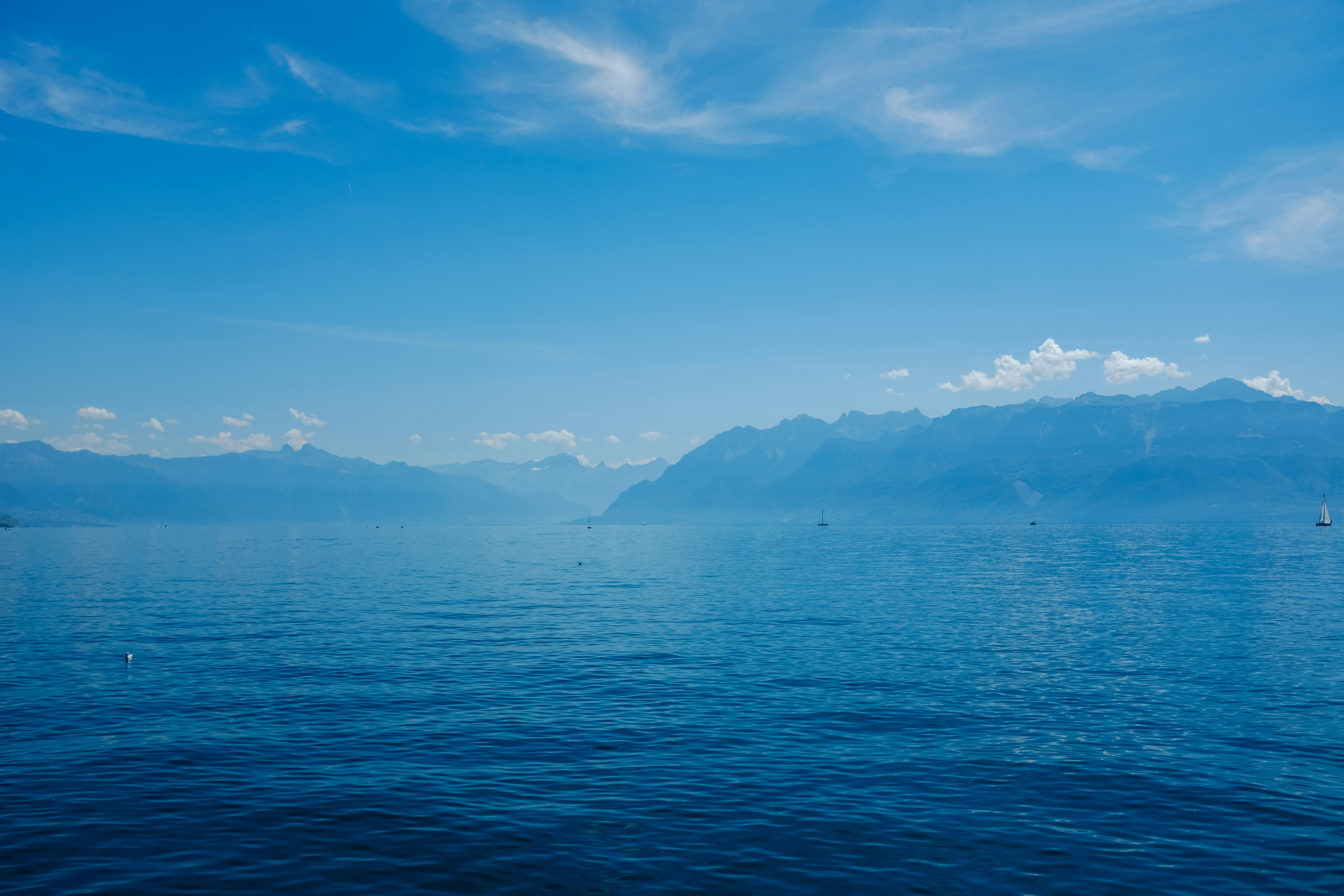 Photo by adrienolichon