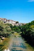 A scenic view of the Danube River with lush greenery.