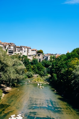 A scenic view of the Danube River with lush greenery.