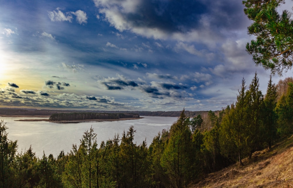 a scenic view of a lake surrounded by trees