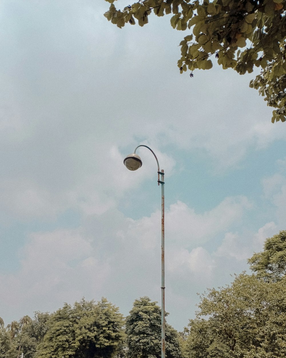 a street light in the middle of a park