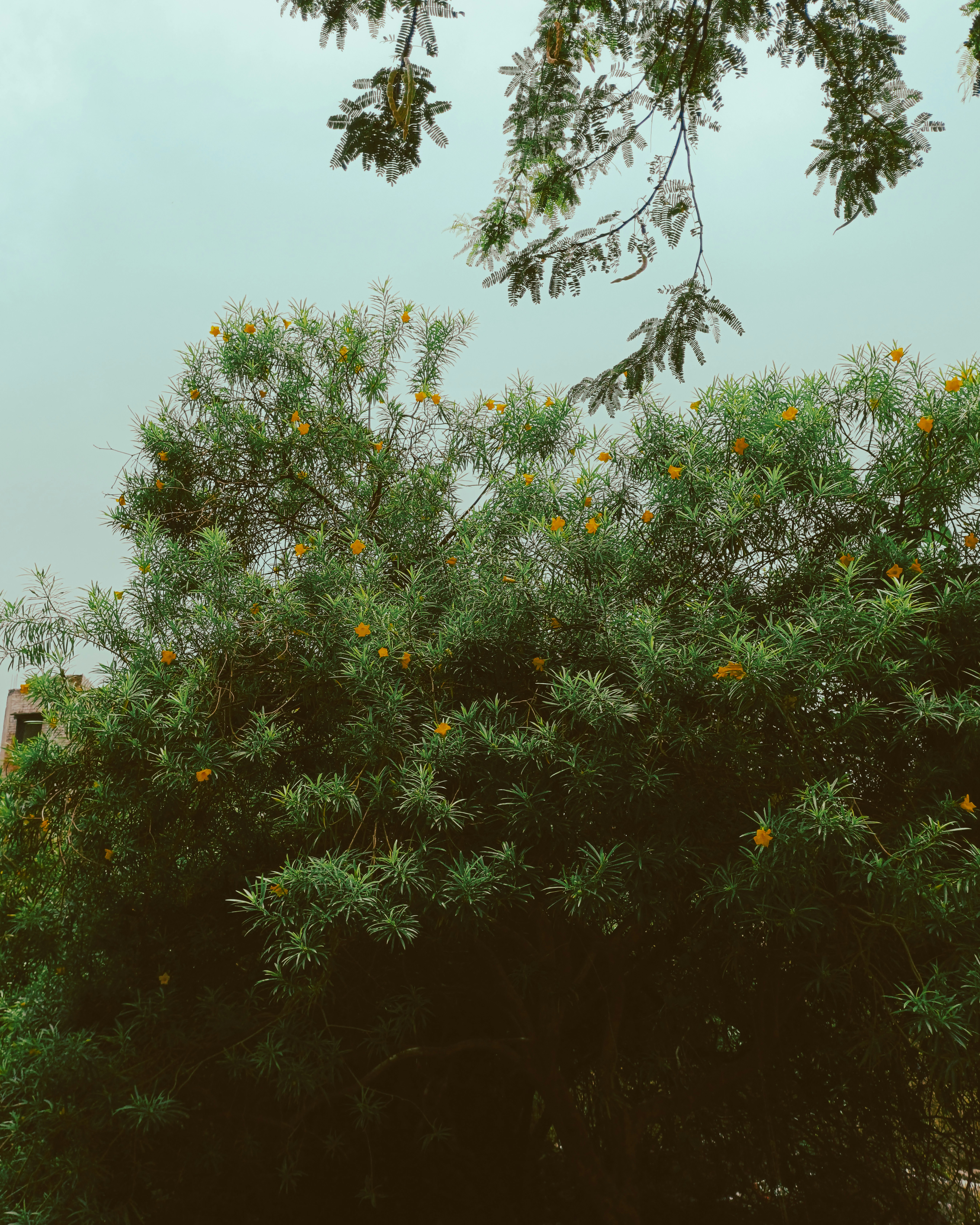 Photo by brajendra_lens_a_lot_