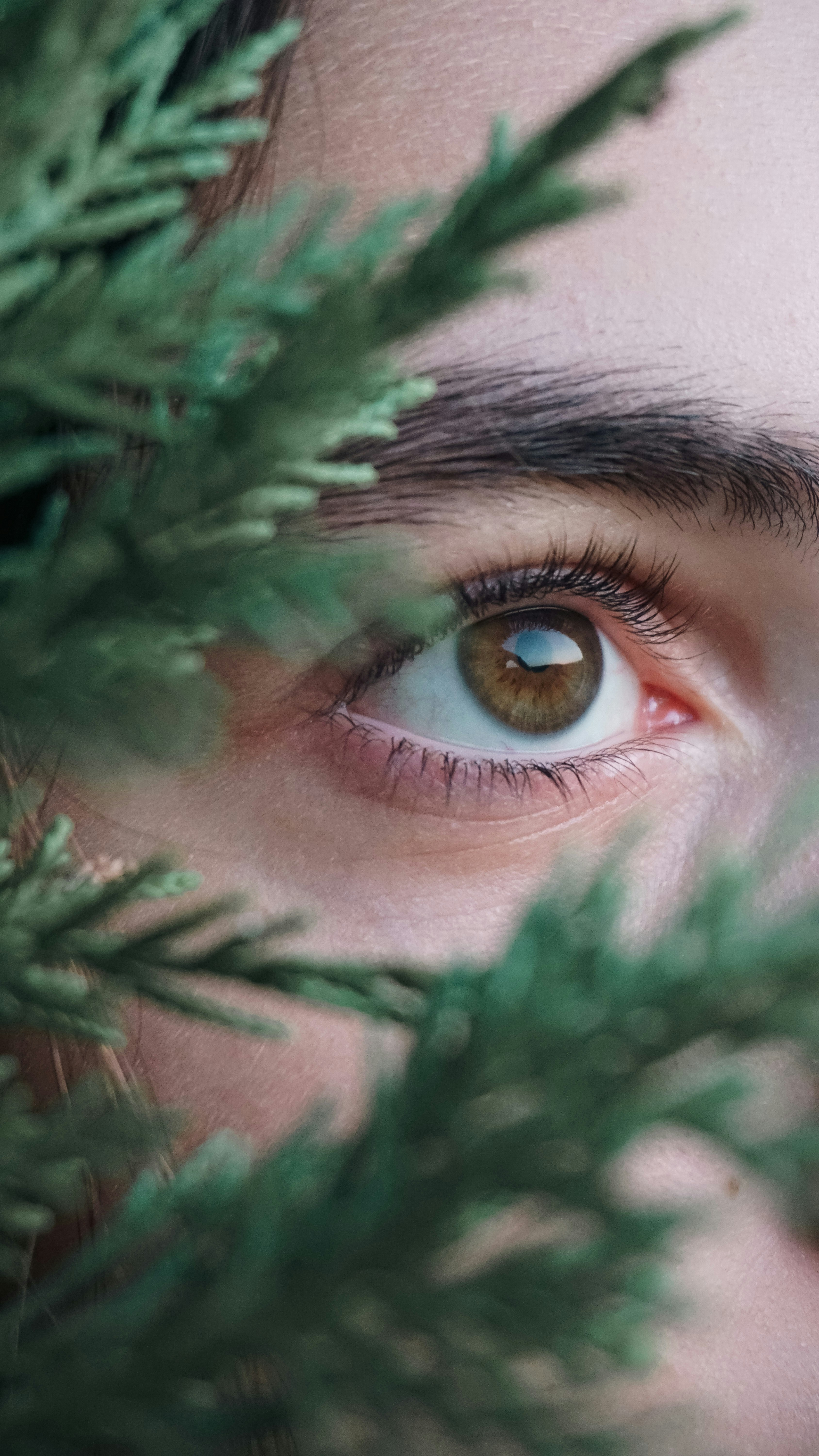 visiflora Eye Support