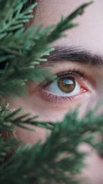Close-up of an iridology eye analysis with natural elements around.