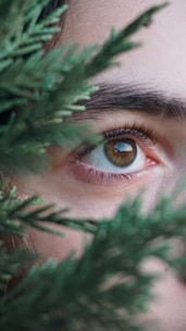 Close-up of an iridology eye analysis with natural elements around.