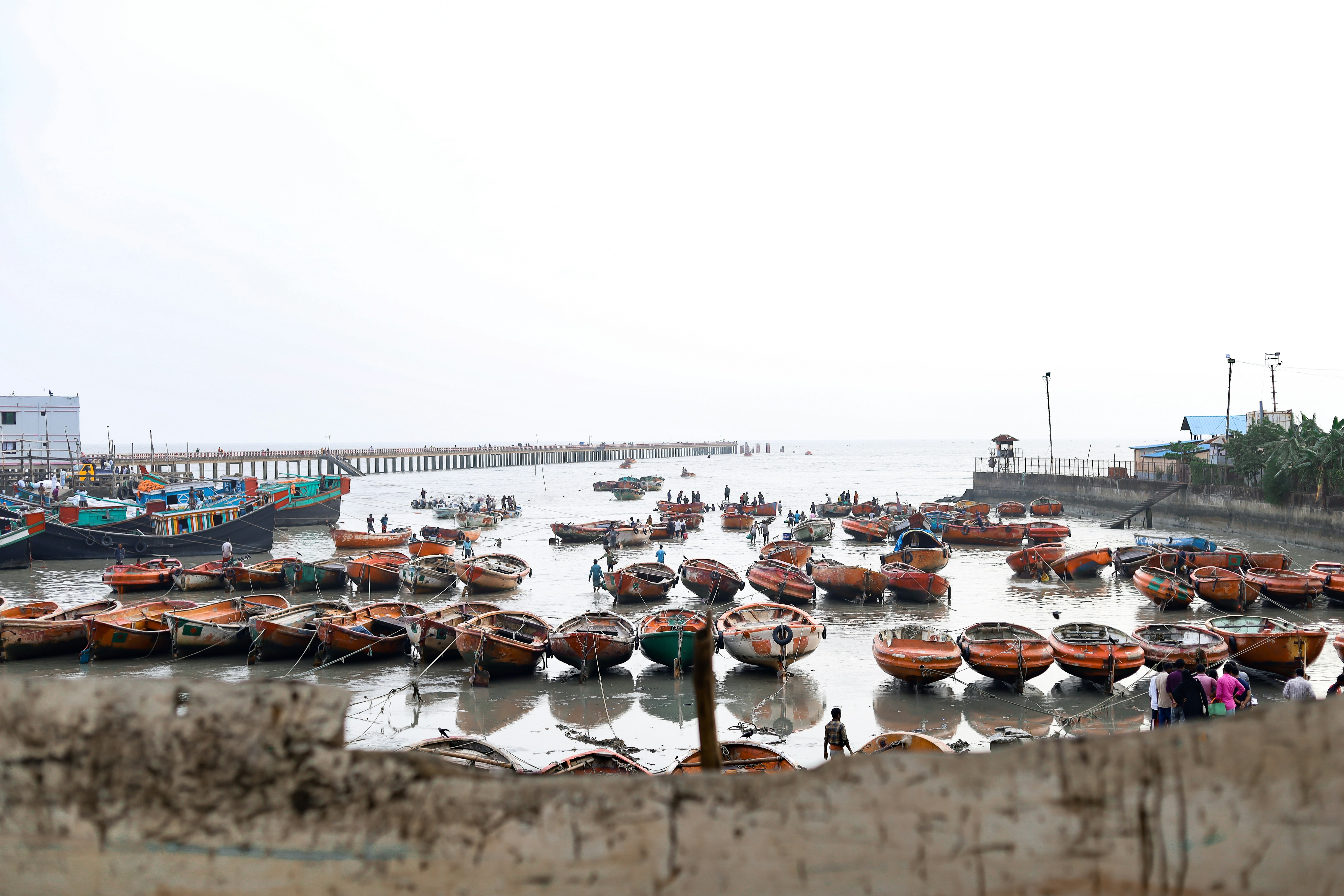 Photo by mahamud2505