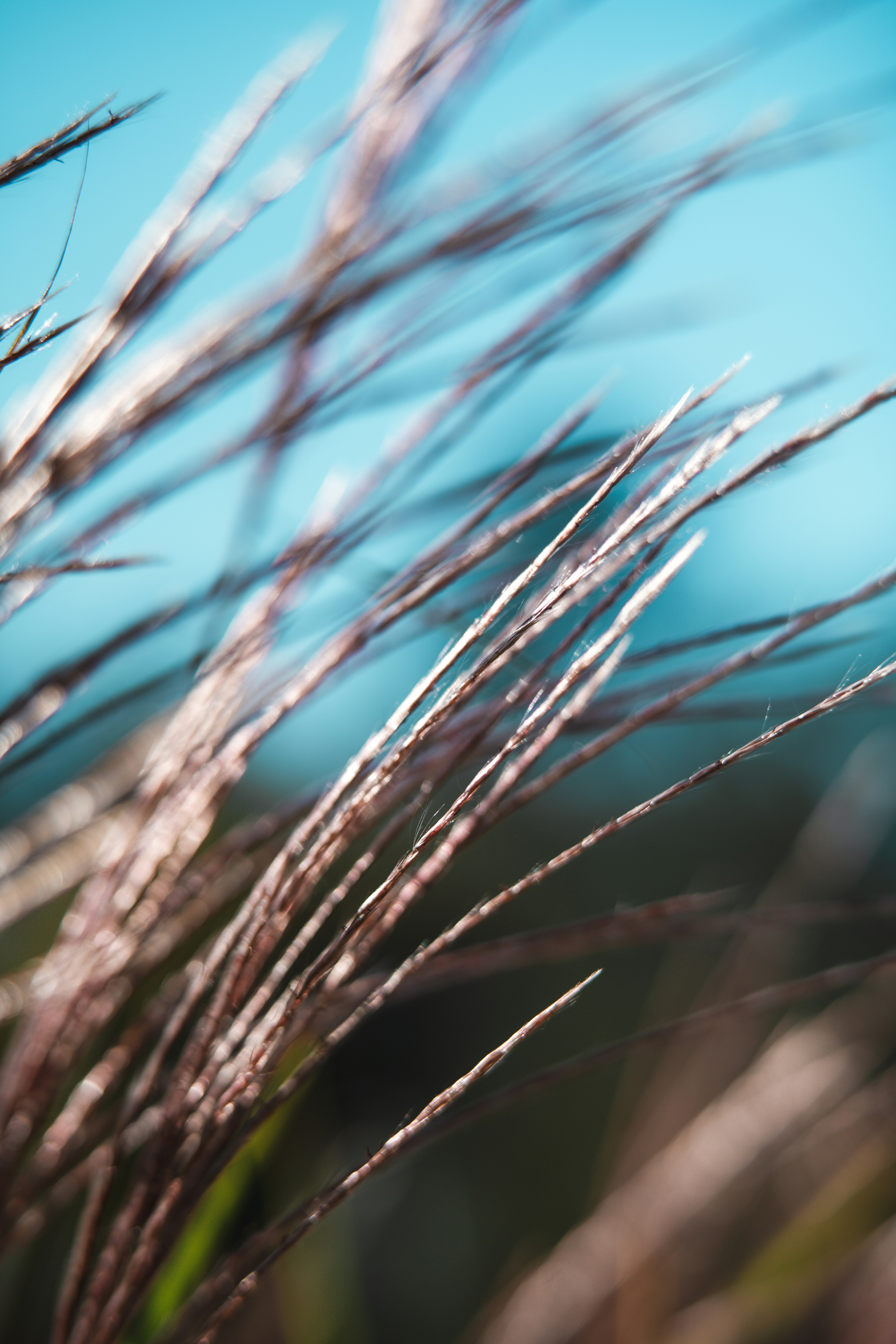 Photo by anamnesis33