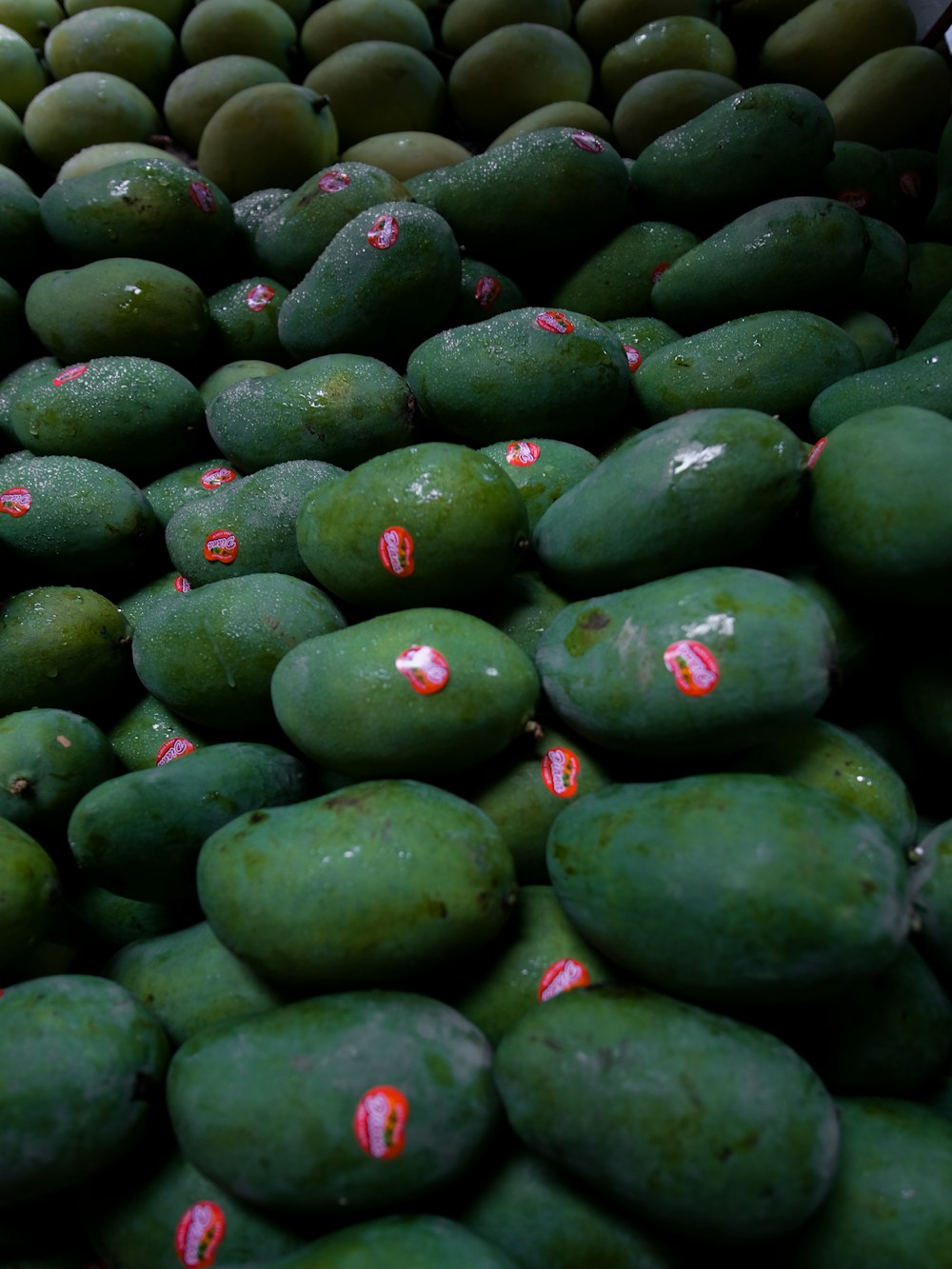 a pile of green avocados sitting next to each other