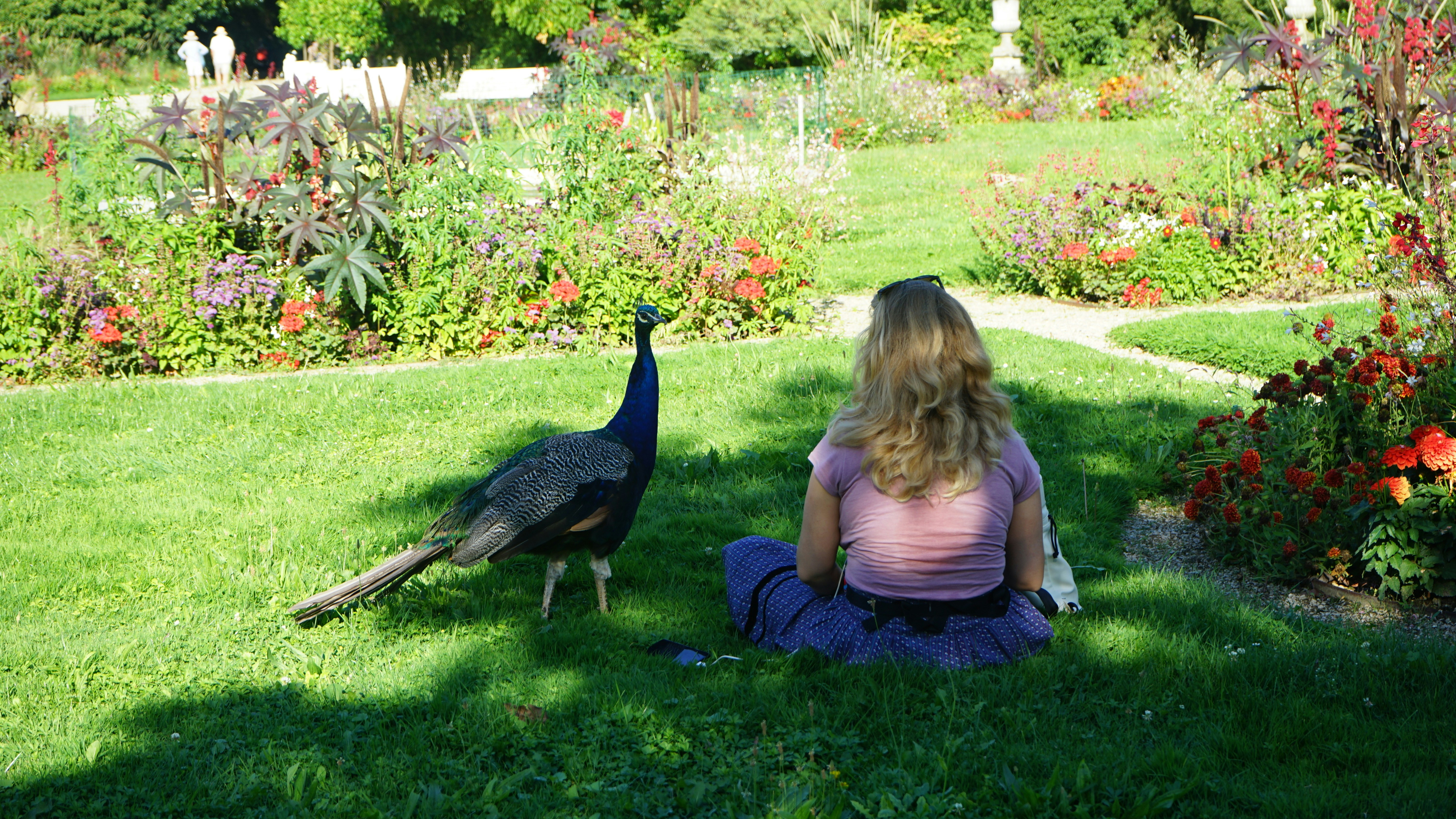 a woman sitting on the ground next to a peacock