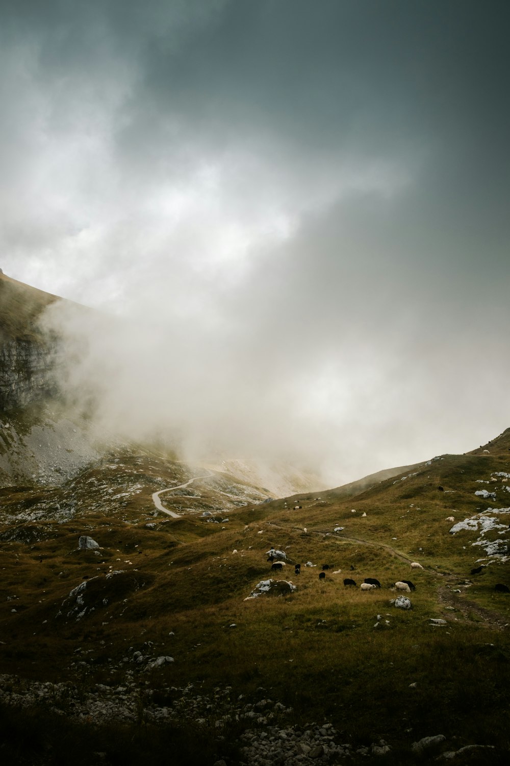 a foggy mountain with sheep grazing in the foreground