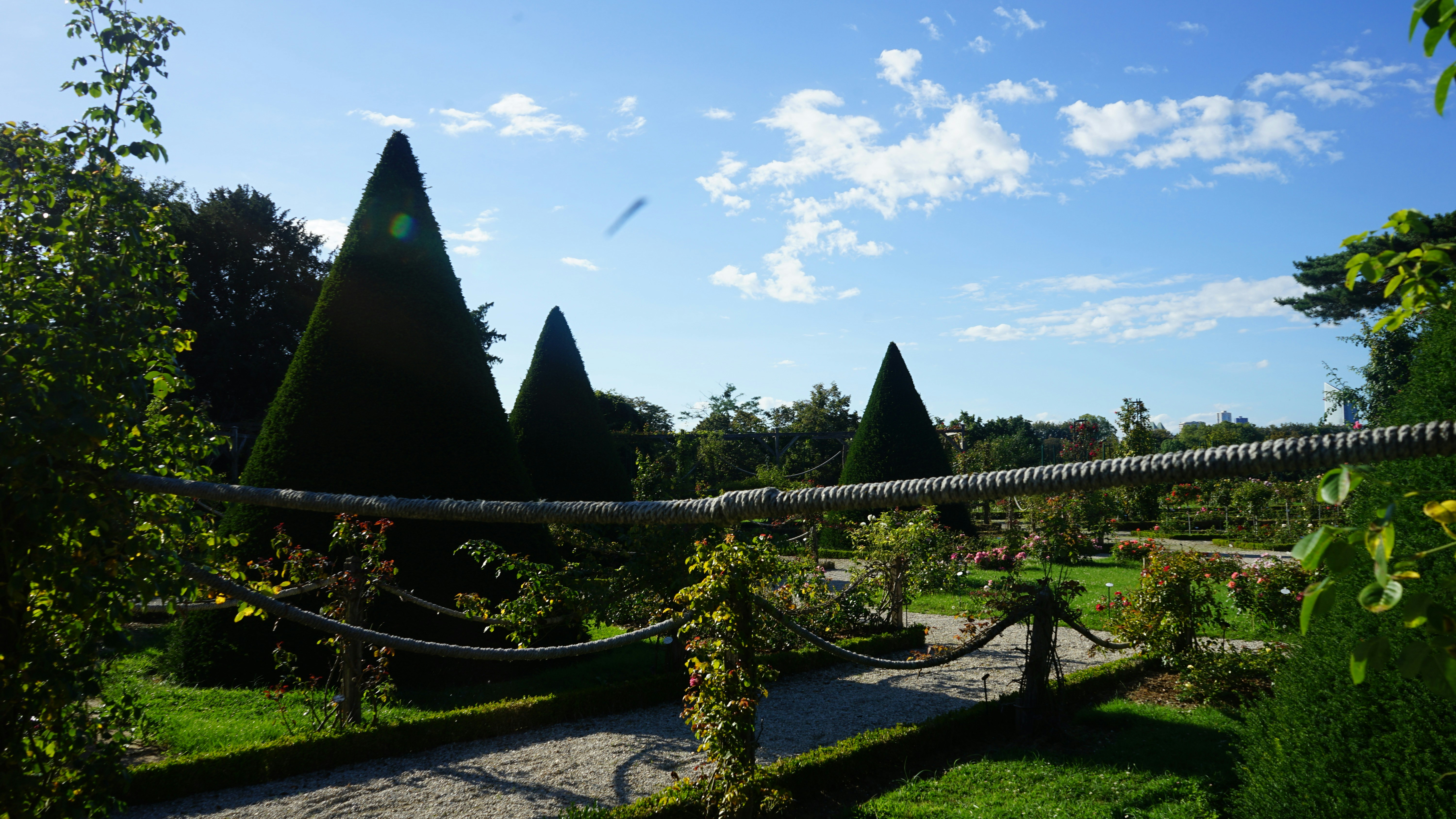 a path through a garden with trees and a hammock