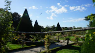 A gardener trimming a large, sculpted topiary under a bright blue sky.