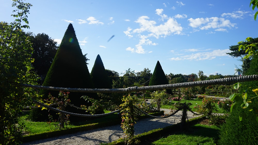 a path through a garden with trees and a hammock