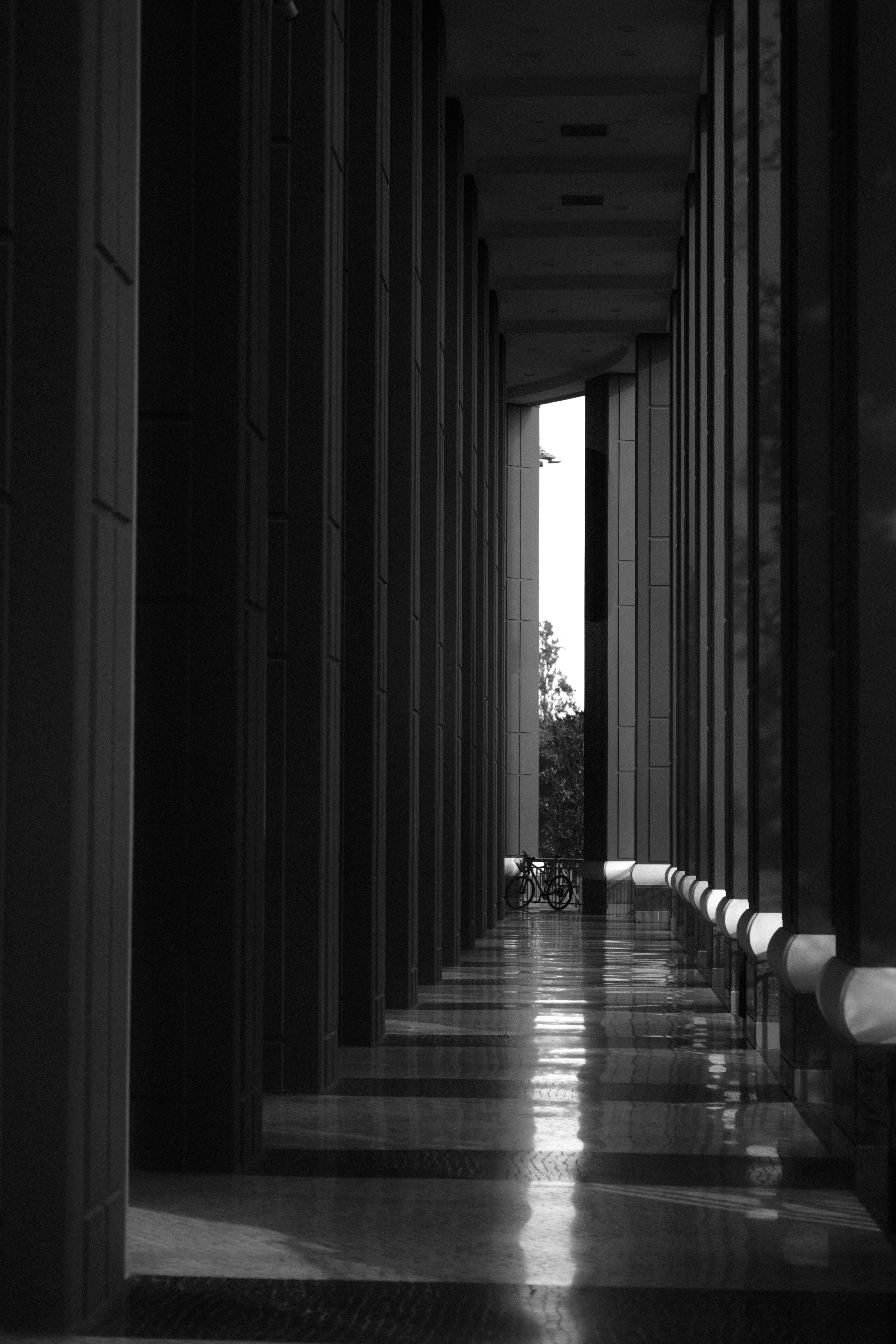 Photo by gabrielreisnf